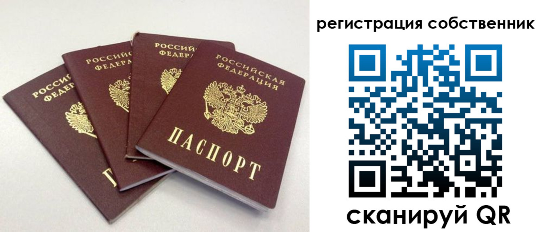 прописка для школы в Унече
